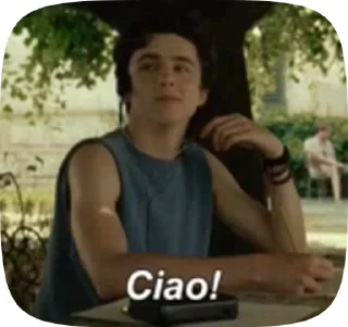 👋 emoji Timothée Chalamet Telegram sticker 21 of 25