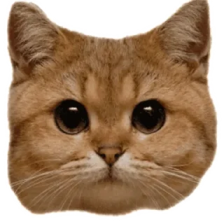 🙃 emoji Стикеры Люси 2.0 Telegram sticker 7 of 39
