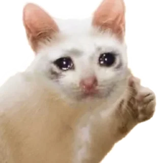 👍 emoji Стикеры Люси 2.0 Telegram sticker 18 of 39