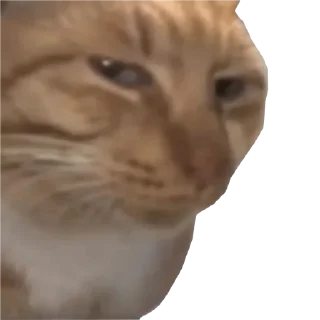 🫣 emoji хорошие стикеры Telegram sticker 10 of 10