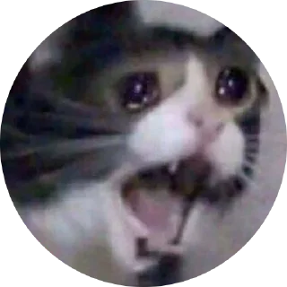 😱 emoji Fake Circle | @plagn Telegram sticker 13 of 19