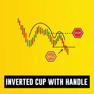 👍 emoji BekzodBek Trading Schools Telegram sticker 15 of 96