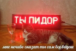 😮 emoji Ты что Даун Telegram sticker 12 of 47