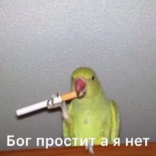 🤥 emoji Ты что Даун Telegram sticker 20 of 47