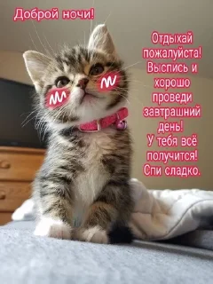 😴 emoji Котя💘 Telegram sticker 23 of 58