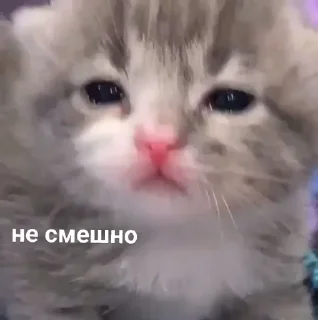 Sticker from Ня