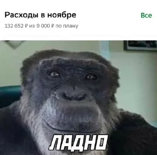 😭 emoji Ня Telegram sticker 11 of 11