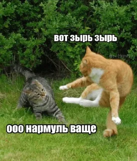 Sticker from Гучигенгово