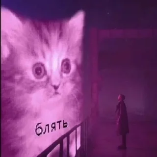 Sticker from Котный купорос