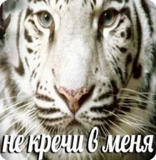 🌟 emoji Анатолий Деловой 777 Telegram sticker 19 of 120