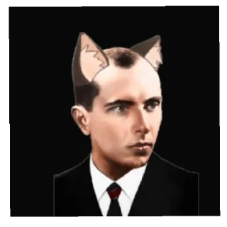 🇪🇪 emoji Іди нахуй Telegram sticker 6 of 8