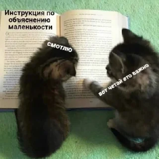 ☺️ emoji специально для тебя! Telegram sticker 9 of 25