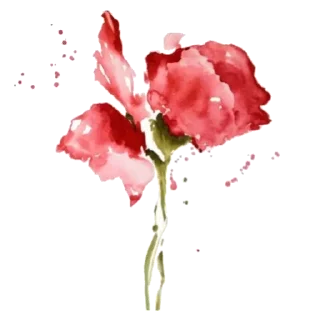 🌹 emoji @TVstickers Hearts Telegram sticker 5 of 96