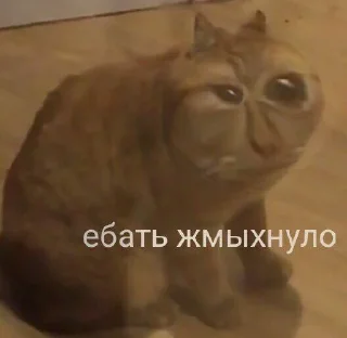 😳 emoji чат про наркотики Telegram sticker 8 of 78