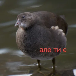 😕 emoji Якась жопа Telegram sticker 24 of 42