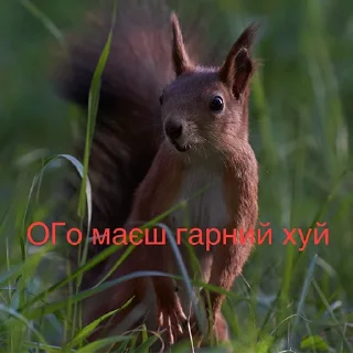 😯 emoji Якась жопа Telegram sticker 23 of 42
