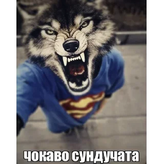 ✋ emoji Дибил Telegram sticker 10 of 85