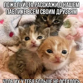 🌟 emoji Да яя Telegram sticker 11 of 50