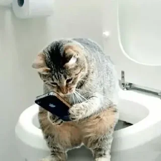 🚽 emoji Спешел фор ми пон Telegram sticker 3 of 32