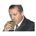 🇹🇷 emoji Recep Tayyip Erdoğan Telegram sticker 22 of 34
