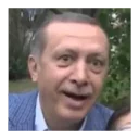 🇹🇷 emoji Recep Tayyip Erdoğan Telegram sticker 24 of 34