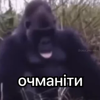 Sticker from І третю вкрав
