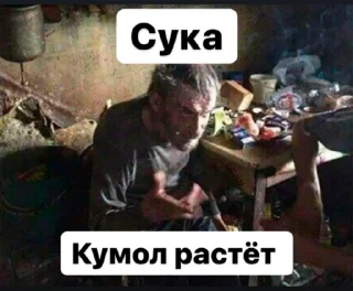 🤘 emoji ТОП СНГ Telegram sticker 15 of 47