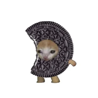 😄 emoji Food cat Telegram sticker 18 of 24