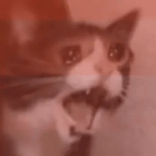 😭 emoji Озерне болото Telegram sticker 2 of 26