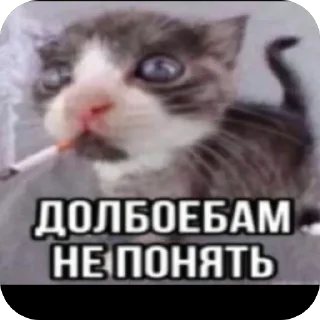 🫥 emoji Мужичек в микро пруду Telegram sticker 7 of 42