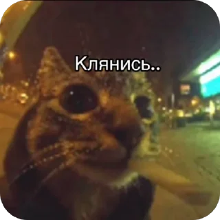 🫥 emoji Мужичек в микро пруду Telegram sticker 23 of 42