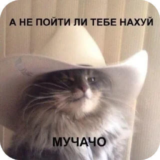 🤠 emoji Max-vkid67 Telegram sticker 13 of 20