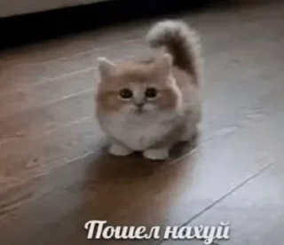 😊 emoji Порожняк Telegram sticker 13 of 93