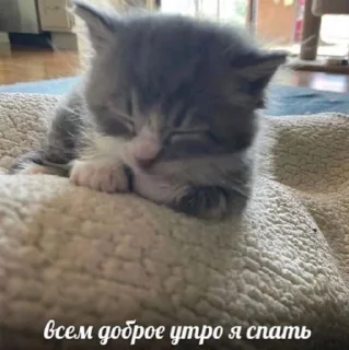 😴 emoji жизнь Telegram sticker 8 of 32
