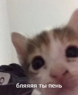 🤔 emoji жизнь Telegram sticker 14 of 32