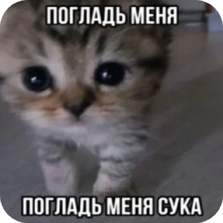 🐱 emoji Пикчи/// от солевой<3 Telegram sticker 7 of 120