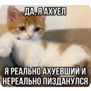 🐱 emoji Пикчи/// от солевой<3 Telegram sticker 9 of 120