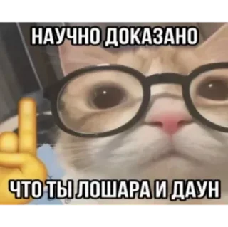Sticker from Скибиди