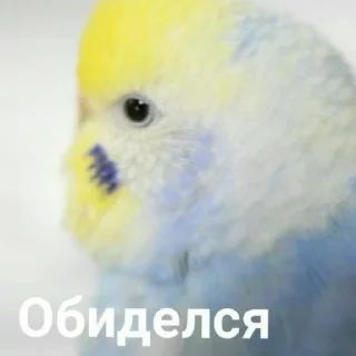 🙎‍♂️ emoji Херь Telegram sticker 18 of 119