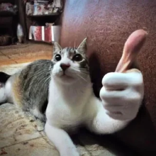 👍 emoji для важных переговоров Telegram sticker 20 of 26