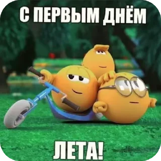 👍 emoji Кот на арбузе @MoiStikiBot Telegram sticker 16 of 17