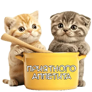 😋 emoji Зимние котики @Nyasticks Telegram sticker 11 of 34