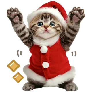 🥹 emoji Зимние котики @Nyasticks Telegram sticker 14 of 34