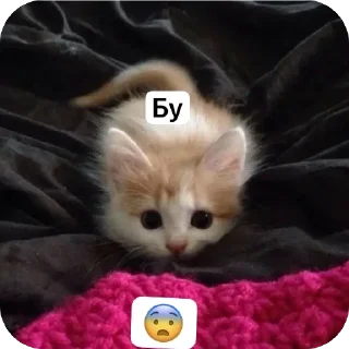 🫥 emoji Няняняня Telegram sticker 8 of 120