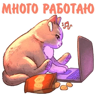 🖥 emoji @kotiki_i_frazochki Котики и фразочки 2 Telegram sticker 20 of 35