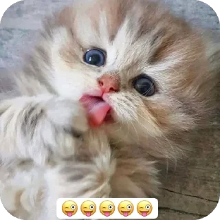 😶 emoji Няняняня Telegram sticker 10 of 120