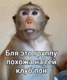 😘 emoji Моки топ от @Galaktic_Land Telegram sticker 16 of 113