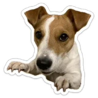 😦 emoji Женька Telegram sticker 12 of 18