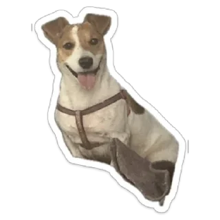 😝 emoji Женька Telegram sticker 7 of 18