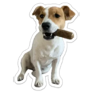 🚬 emoji Женька Telegram sticker 6 of 18